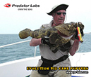 PRL_EVO52